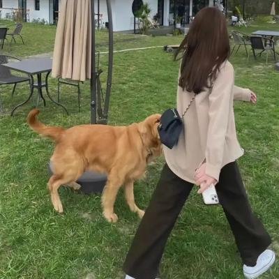 致命摇篮