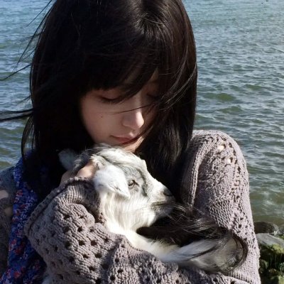 舒克与桃花