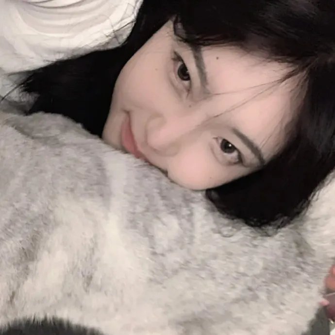 携带狗的猫